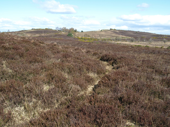 Vales Moor (Round Barrow(s)) by formicaant