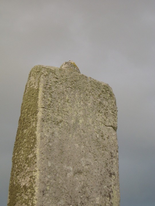 Stonehenge (Circle henge) by Vicster