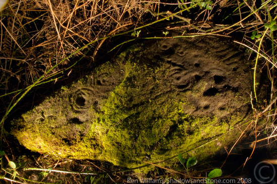 Drumcah (Cup and Ring Marks / Rock Art) by CianMcLiam