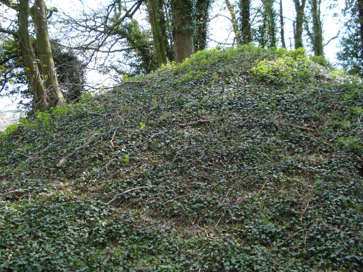 Mount Wood (Round Barrow(s)) by Chance