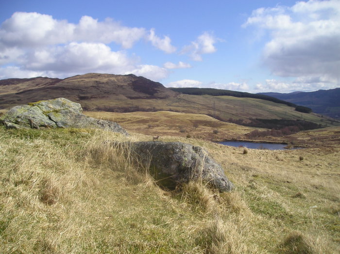 Glengoulandie (Cup Marked Stone) by tiompan