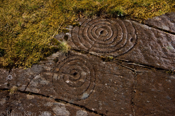 Achnabreck (Cup and Ring Marks / Rock Art) by rockartwolf