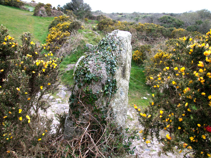 Carvannel Menhir (Standing Stone / Menhir) by Mr Hamhead