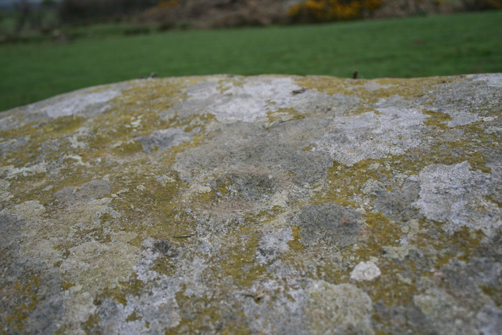 Ardlamont Point (Cup and Ring Marks / Rock Art) by postman