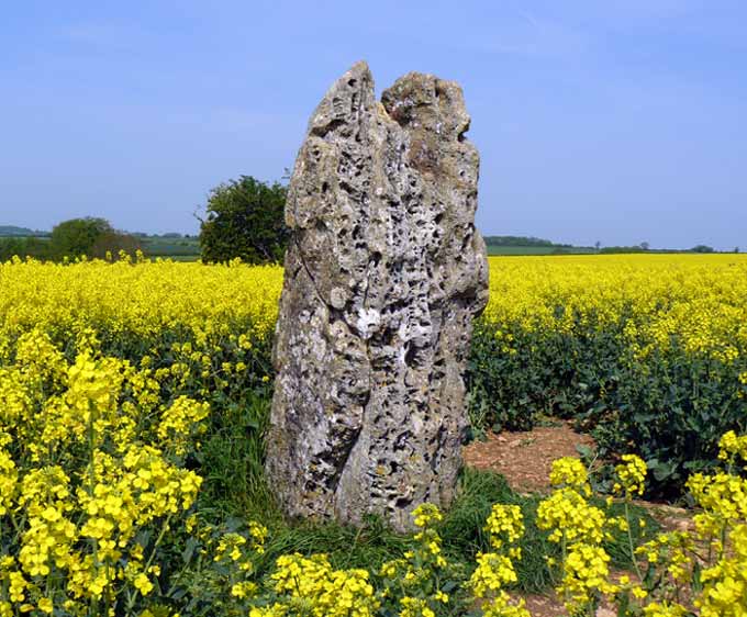 Hawk Stone (Standing Stone / Menhir) by baza