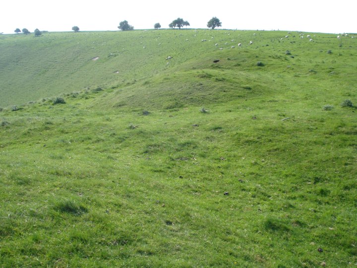 Draycott Hill (Barrow / Cairn Cemetery) by Chance