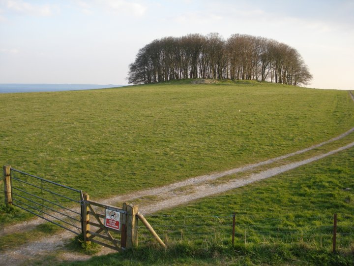 Morgan's Hill (Round Barrow(s)) by Chance