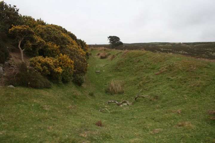 Ringses Camp, Beanley Moor (Hillfort) by mascot