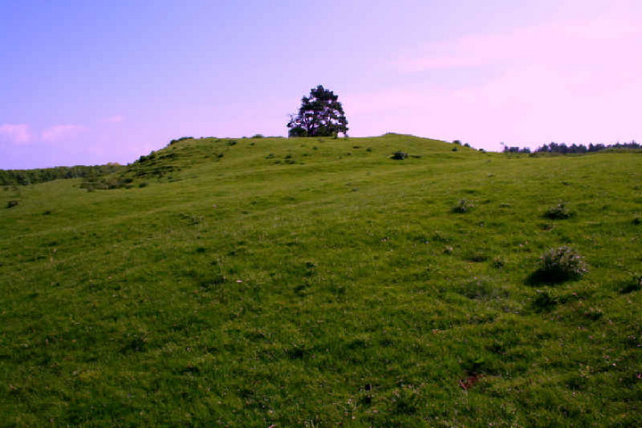Dunstan Hill (Enclosure) by mascot