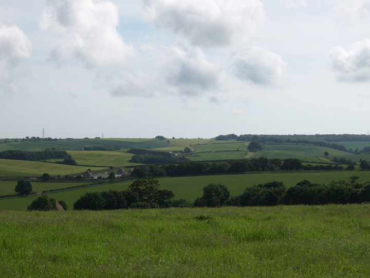 Whitcombe Hill (Round Barrow(s)) by formicaant