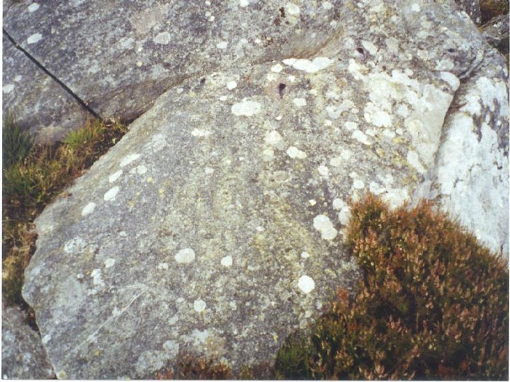 Birnam Hill (Cup and Ring Marks / Rock Art) by Martin