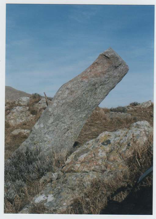 Menhir del Passo di Mezzaluna (Standing Stone / Menhir) by Ligurian Tommy Leggy