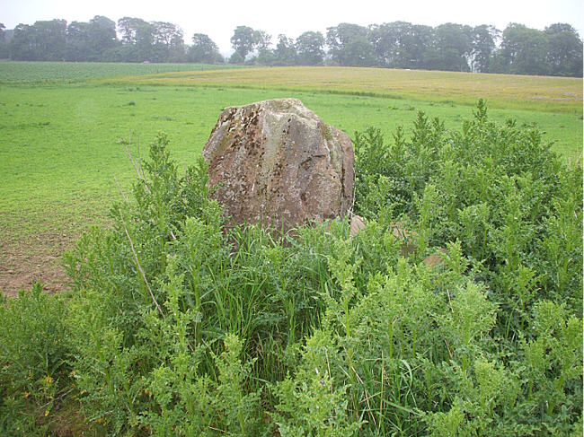 Earlseat (Standing Stone / Menhir) by hamish