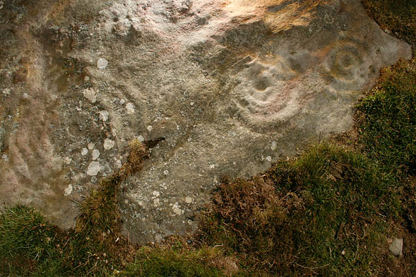 Broomridge (Cup and Ring Marks / Rock Art) by Hob