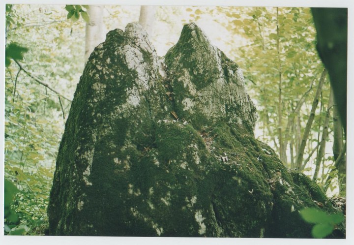Savin's menhir (Standing Stone / Menhir) by Ligurian Tommy Leggy