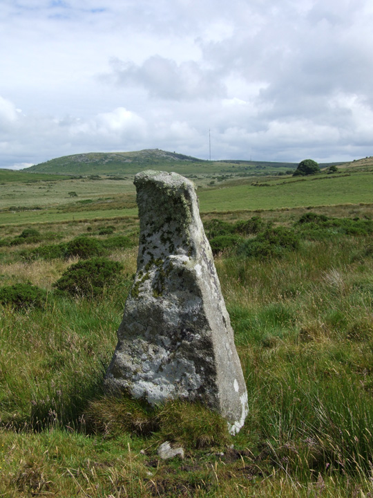 Sibleyback Menhir (Standing Stone / Menhir) by Mr Hamhead