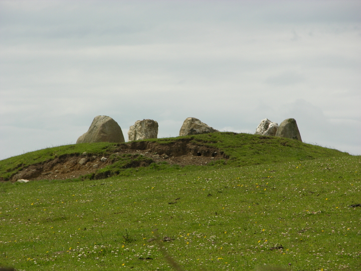 Arragon Moar Circle (Round Cairn) by Moz