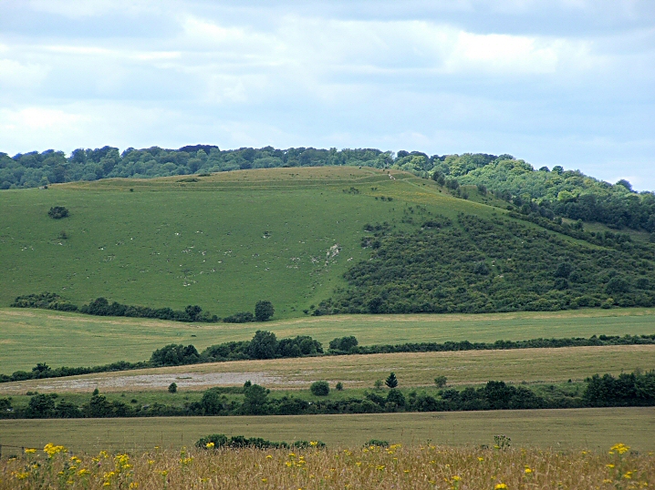 Beacon Hill (Hillfort) by jimit