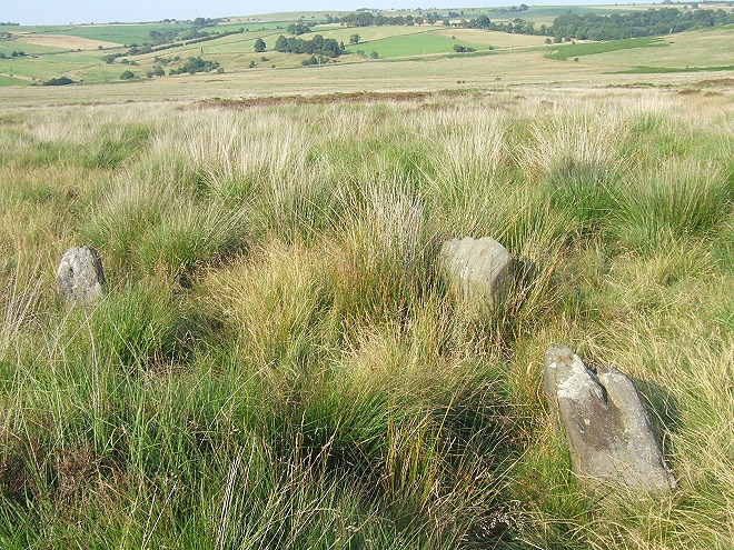 Gibbet Moor North (Stone Circle) by Chris Collyer
