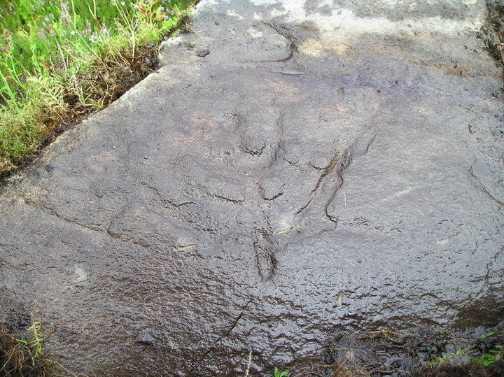 Craig Hill (Cup and Ring Marks / Rock Art) by tiompan