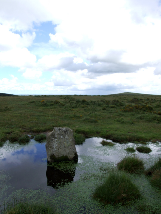 East Moor Menhirs (western area) (Standing Stones) by Mr Hamhead