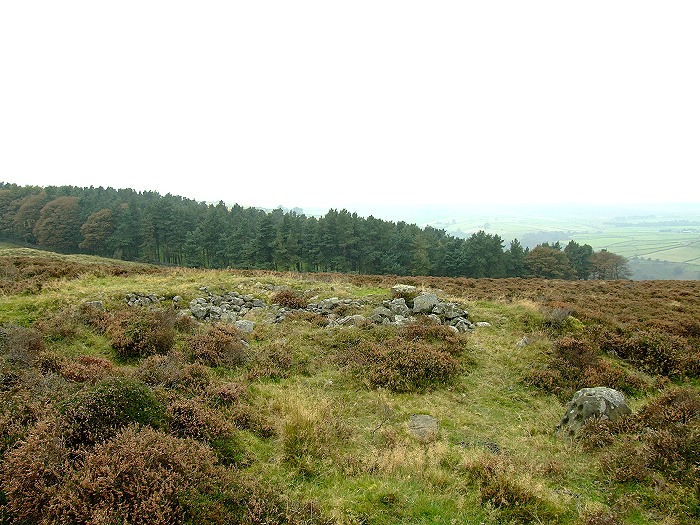 Stanage (Cup Marked Stone) by Chris Collyer