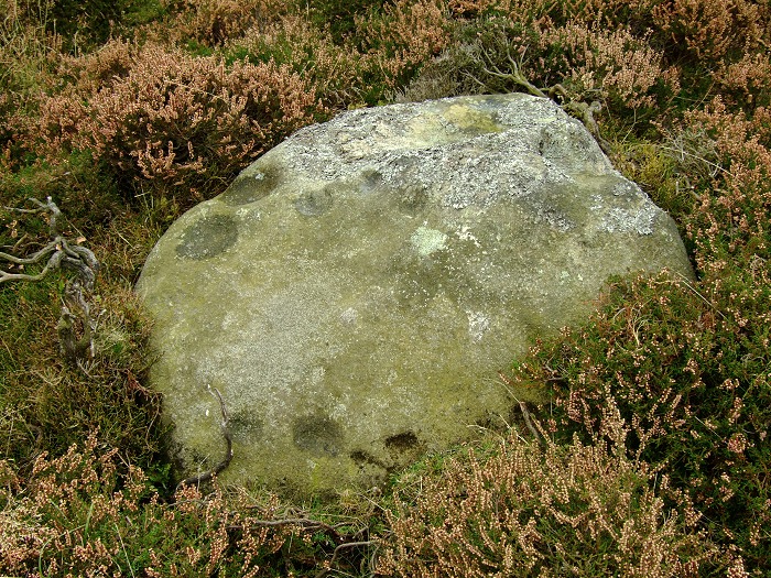 Stanage II (Cup Marked Stone) by Chris Collyer