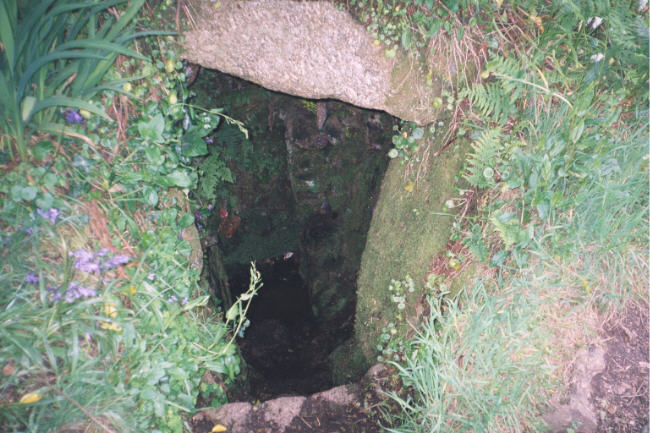Sancreed Holy Well (Sacred Well) by hamish