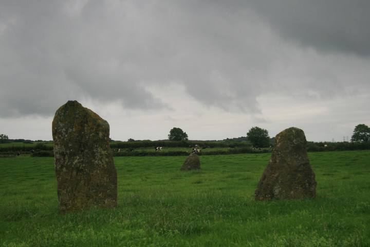 Meinillwydion (Llandyfaelog) (Standing Stones) by postman