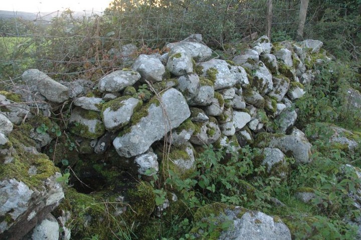 Newtown (Bullaun Stone) by ryaner