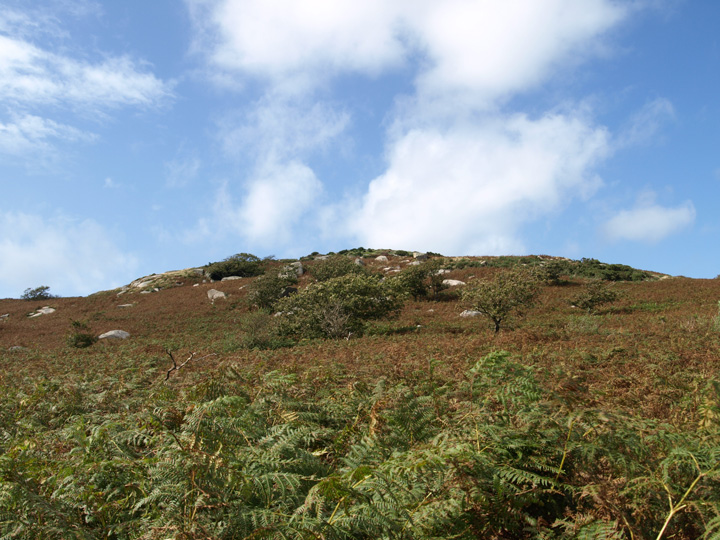 Trencrom Hill (Hillfort) by formicaant