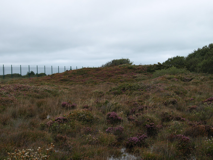 Goonhilly Down (Cairn(s)) by formicaant