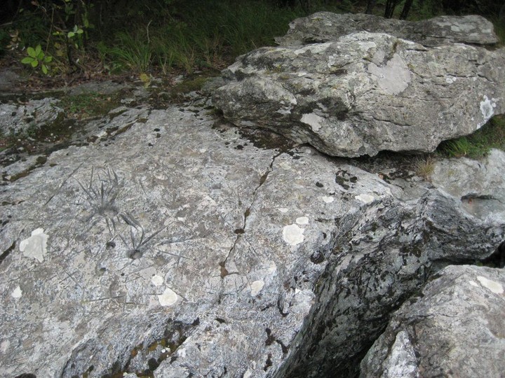 La Grande Roccia (The Big Rock) (Engraved stone) by Ligurian Tommy Leggy