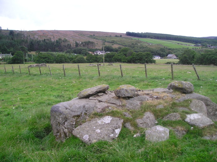 Dalreoich (Cup Marked Stone) by tiompan