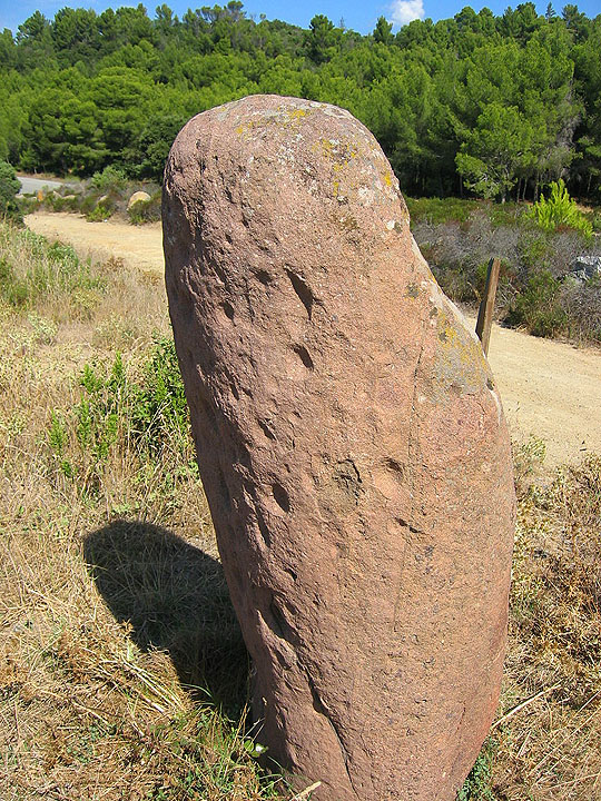 Menhir de L'Aire Peyronne (Standing Stone / Menhir) by fitzcoraldo