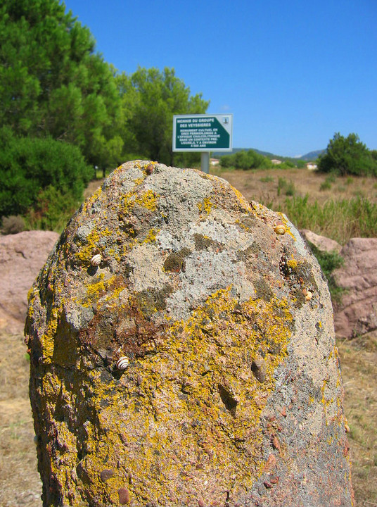Menhir de Vessiere (Standing Stone / Menhir) by fitzcoraldo