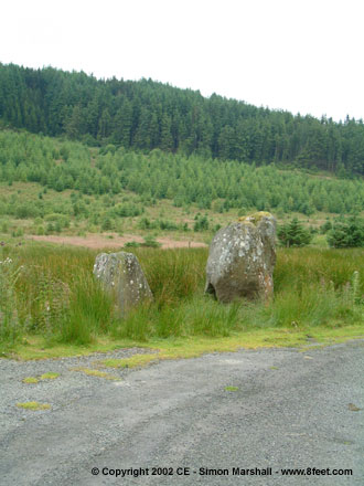 Buwch a'r Llo and Mynydd March (Standing Stones) by Kammer