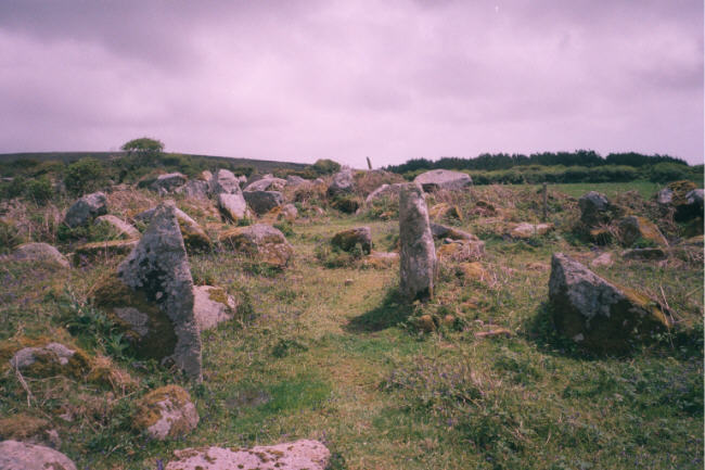 Bodrifty Iron Age Settlement (Ancient Village / Settlement / Misc. Earthwork) by hamish