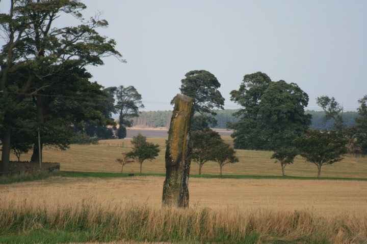 Kirklandhill Standing Stone (Standing Stone / Menhir) by BigSweetie