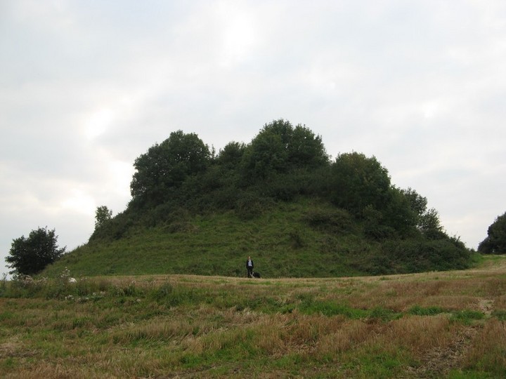 Knockgraffon Motte (Artificial Mound) by bawn79