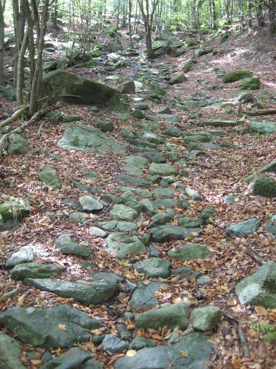 Rio della Biscia's valley. First rock of the path. (Engraved stone) by Ligurian Tommy Leggy