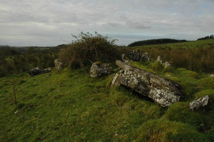 Magheraghanrush Wedge Tomb (Wedge Tomb) by ryaner