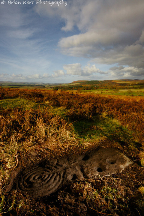 Ringses Camp, Beanley Moor (Hillfort) by rockartwolf