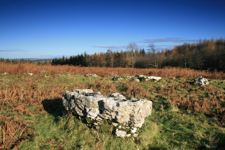 Knipe Moor (Stone Circle) by postman