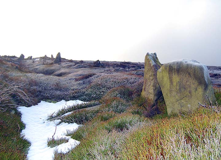 Westerdale Moor (Stone Row / Alignment) by fitzcoraldo
