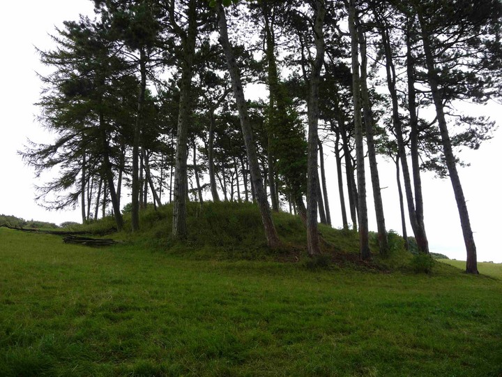 Crippets Long Barrow (Long Barrow) by thesweetcheat