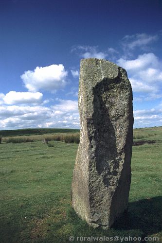 Mitchell's Fold (Stone Circle) by Simon E