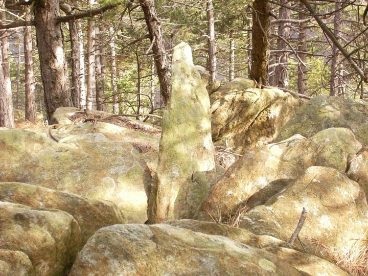 Bric Aliberti menhirs (Standing Stone / Menhir) by Ligurian Tommy Leggy