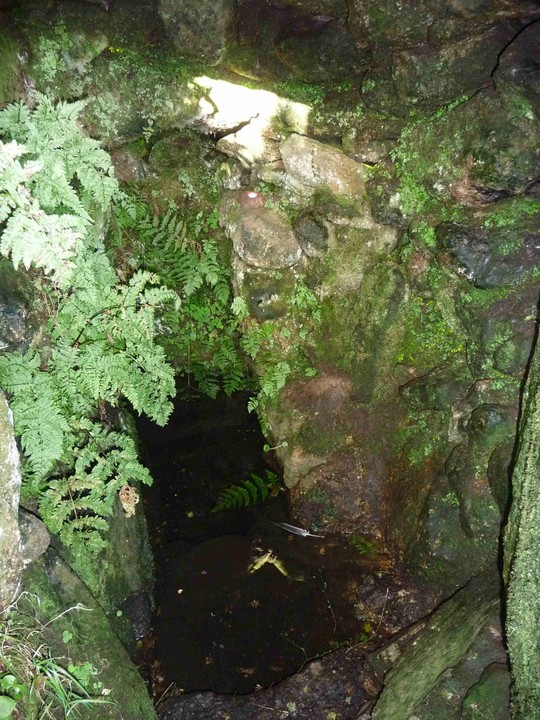Sancreed Holy Well (Sacred Well) by thesweetcheat