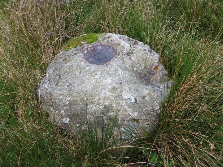 Gortavoher (North) (Bullaun Stone) by bawn79